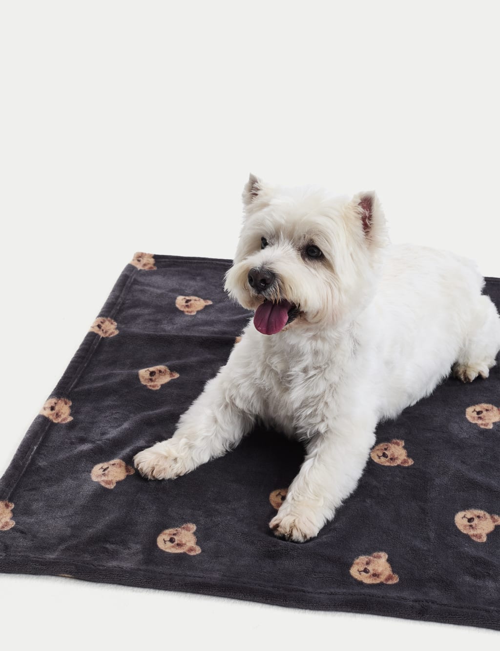 Spencer Bear Pet Blanket