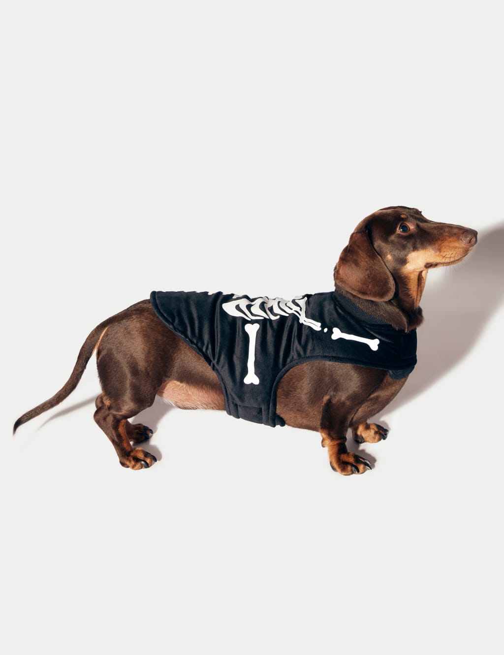 Halloween dog jumper cheap