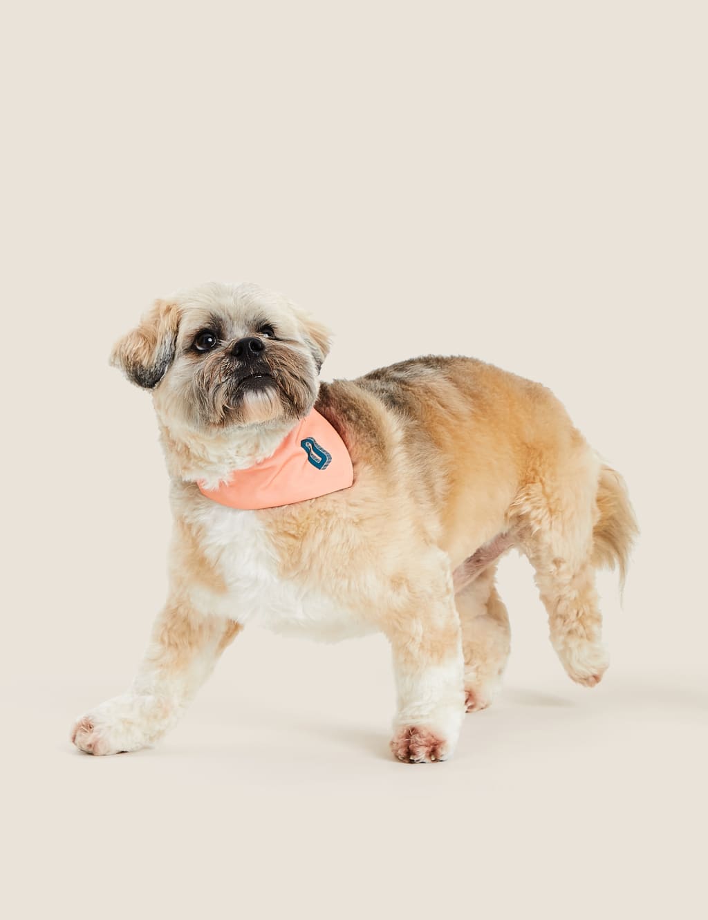 Seasalt dog bandana discount