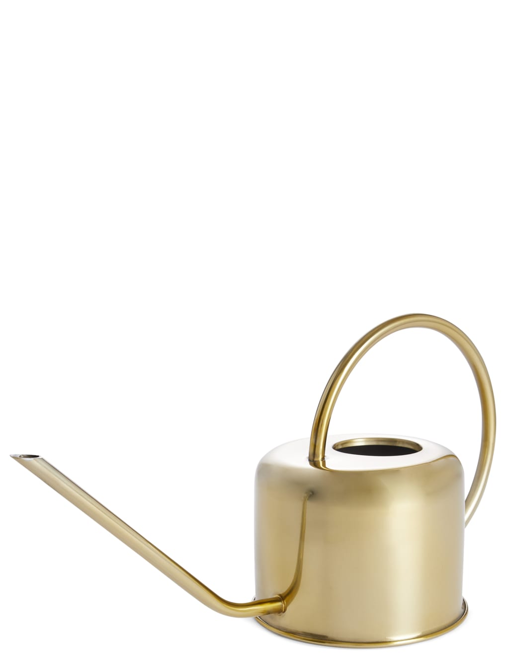 Gold 1 Litre Watering Can 1 of 2