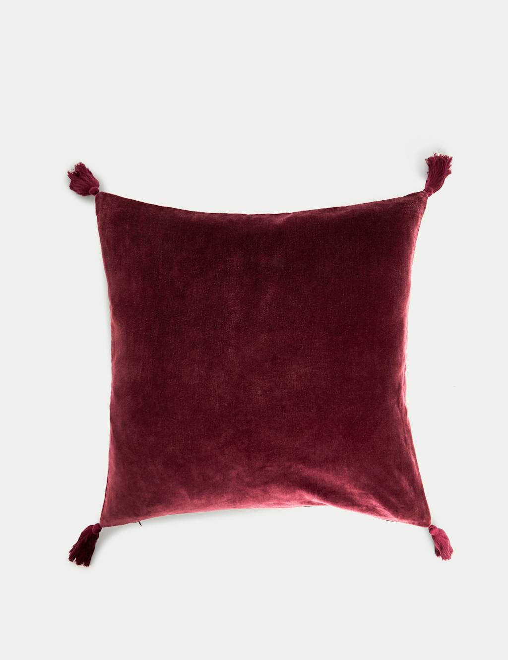Velvet Tasselled Cushion 3 of 4