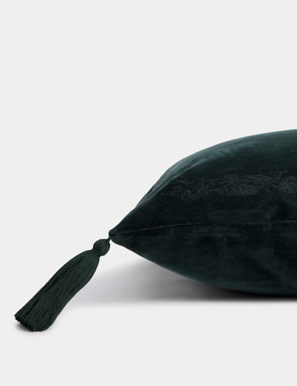 Velvet Tasselled Cushion 3 of 4