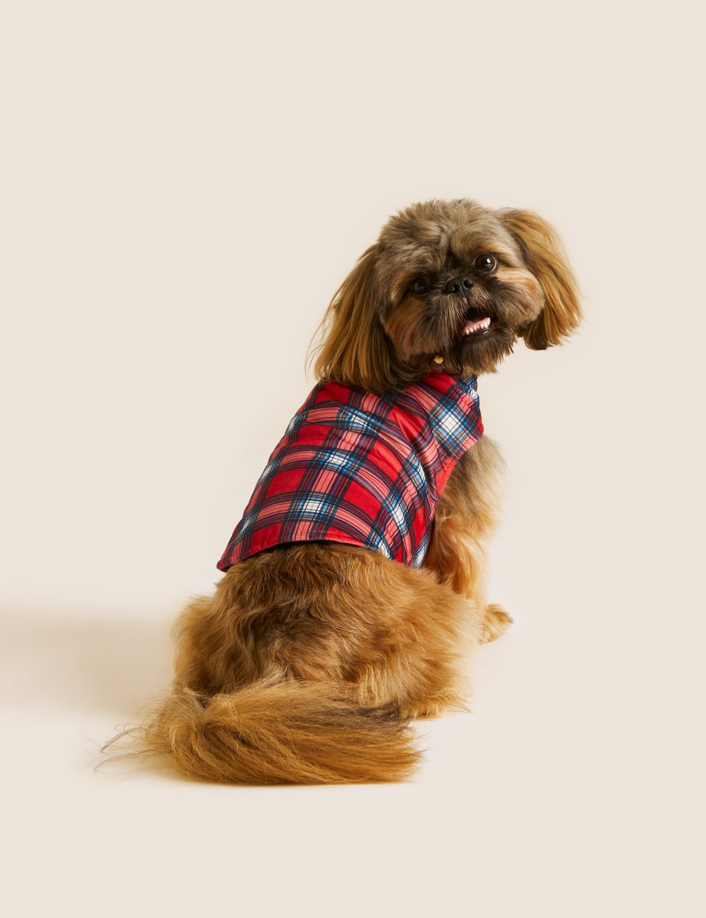 Plaid dog shirt best sale