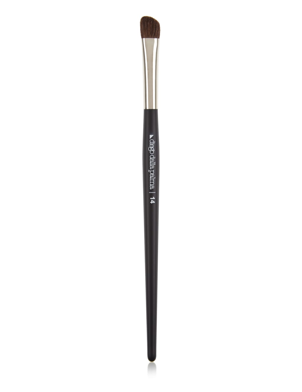 Slanted Shading Eye Brush 1 of 2
