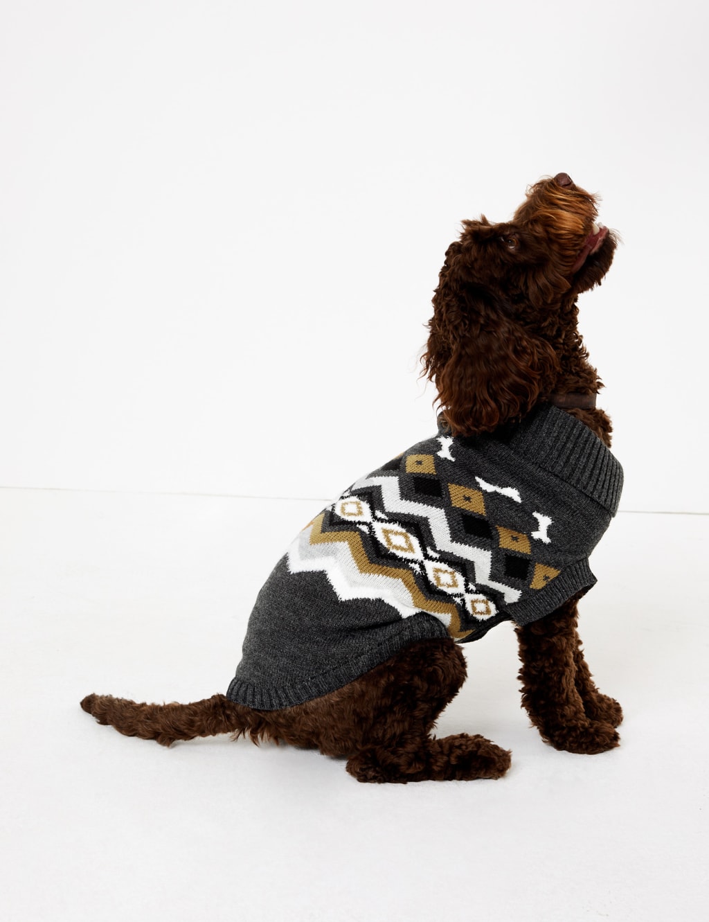 Chevron Stripe Bone Print Dog Jumper 5 of 6