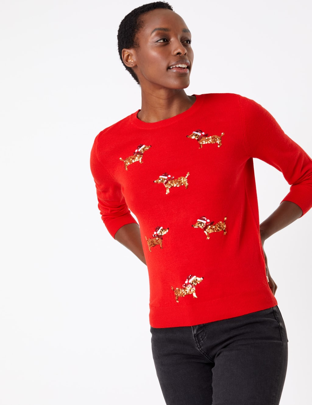 Embellished Dog Christmas Jumper M S Collection M S