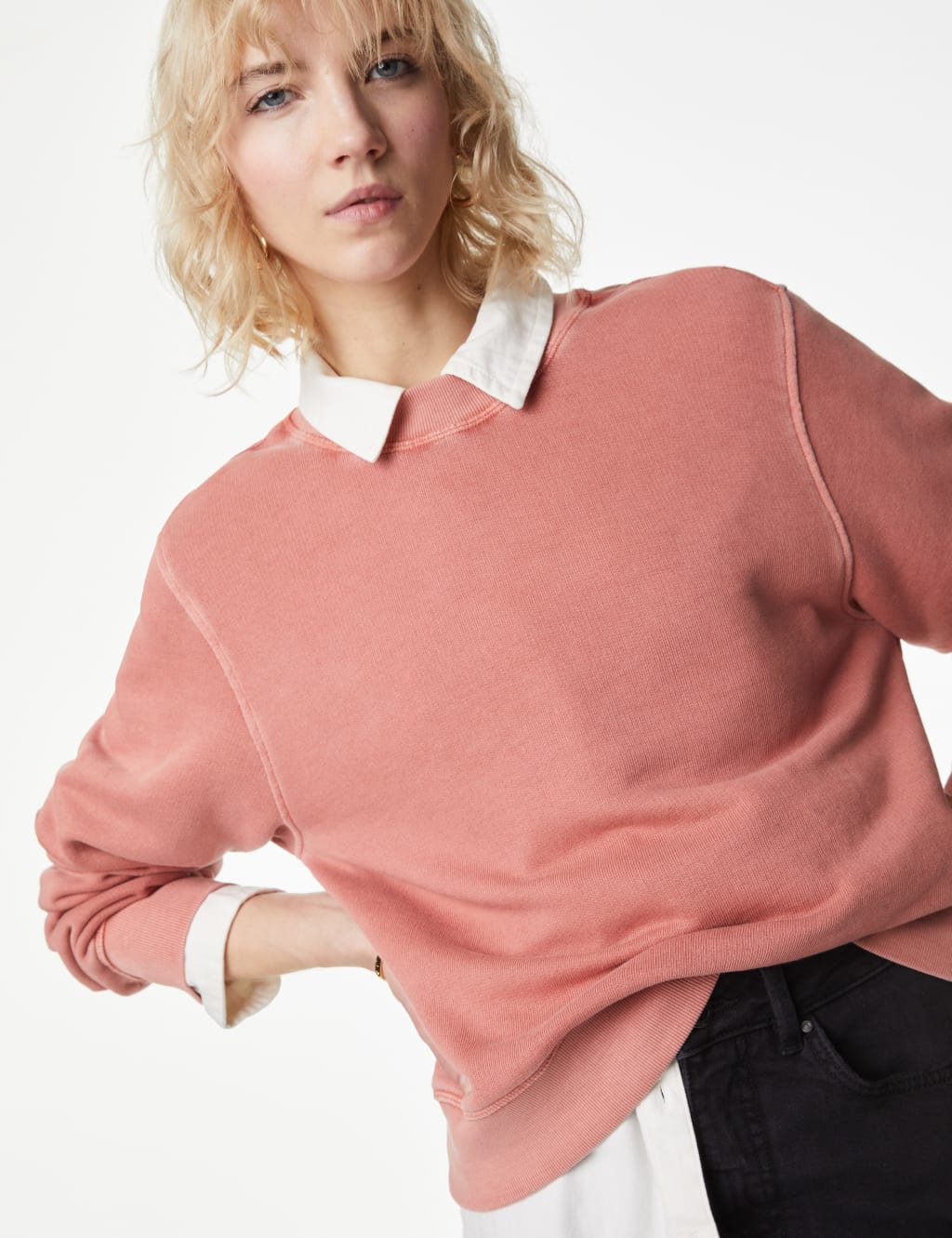 Pure Cotton Sweatshirt 4 of 5