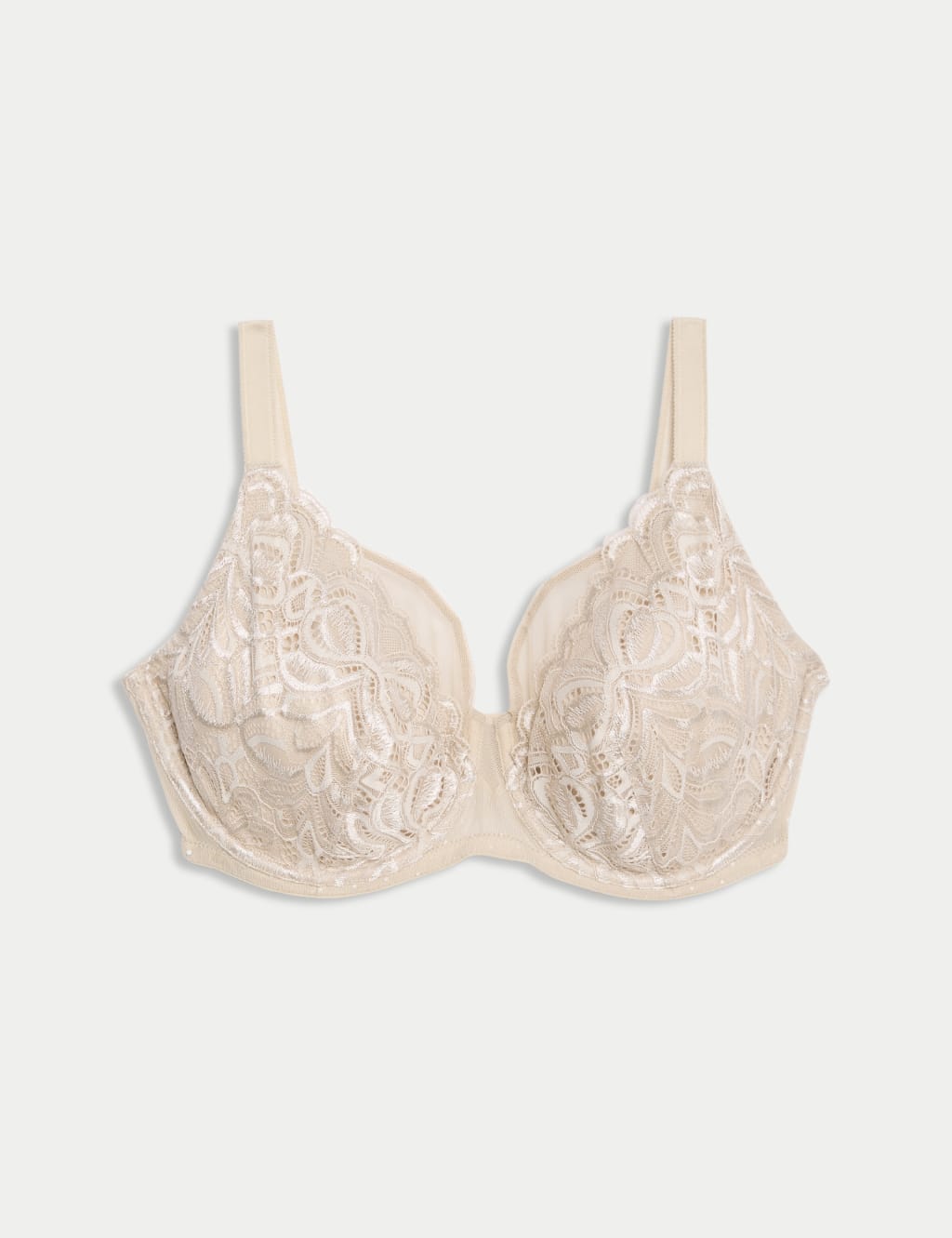 Amelia Lace Natural Lift Wired Full Cup Bra (F+) 2 of 6