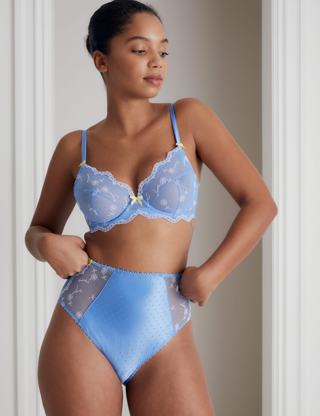 Evaline High Waisted Brazilian Knickers 3 of 7