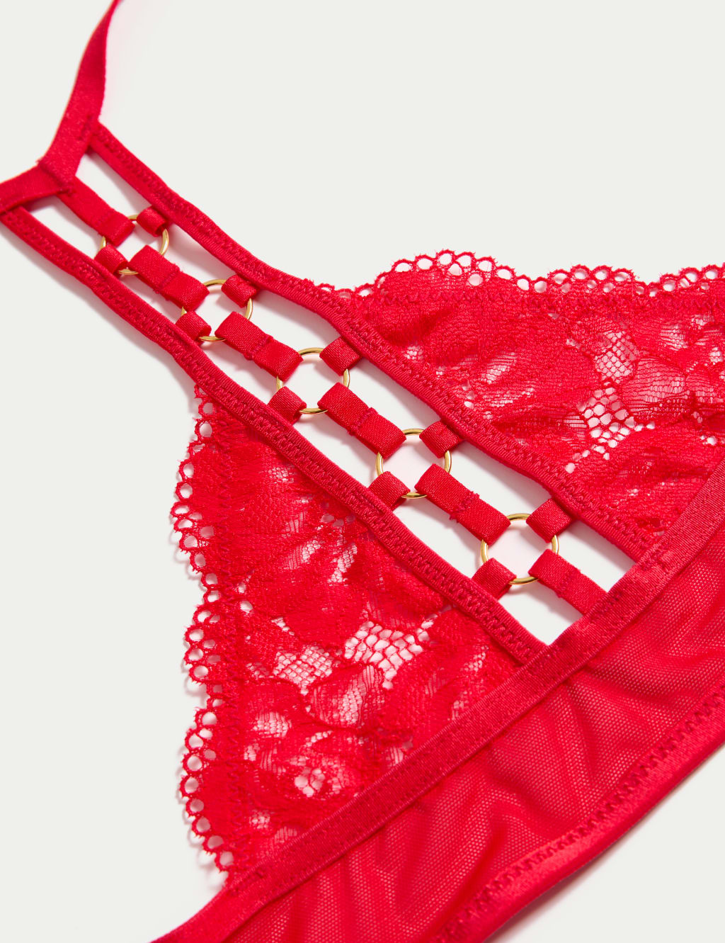 Vera Lace Wired Push Up Plunge Bra (A-E) 7 of 8