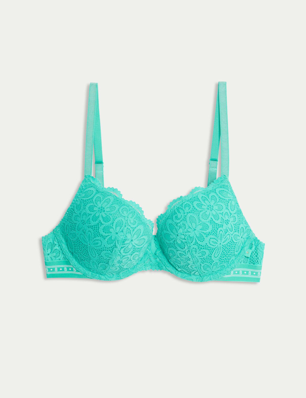 Cleo Lace Wired Push Up Plunge Bra A-E 2 of 7