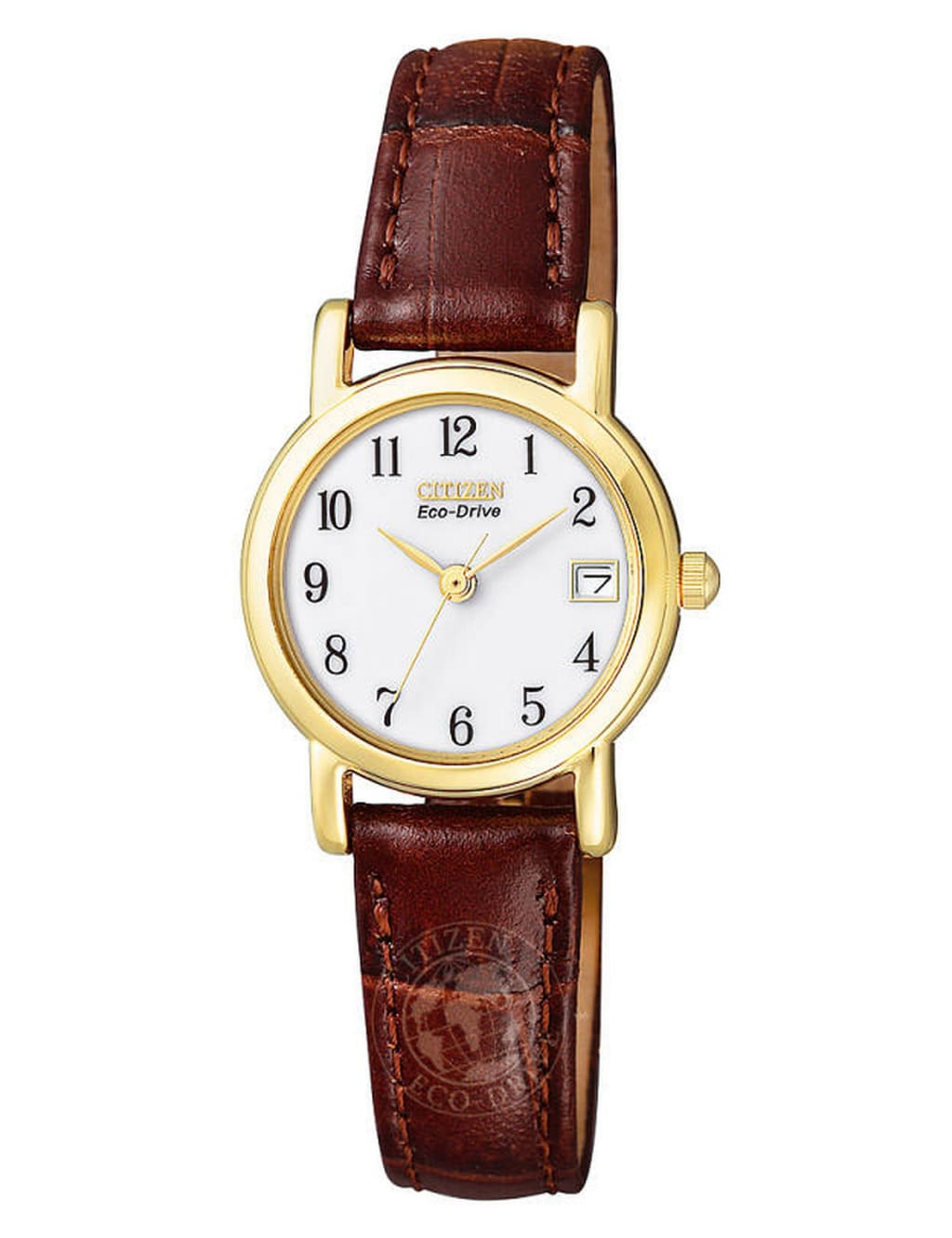 Citizen everyday watch outlet