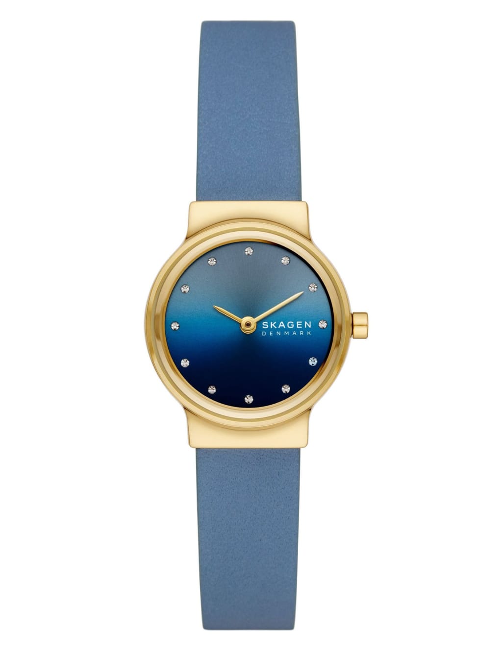 Skagen watch blue face online