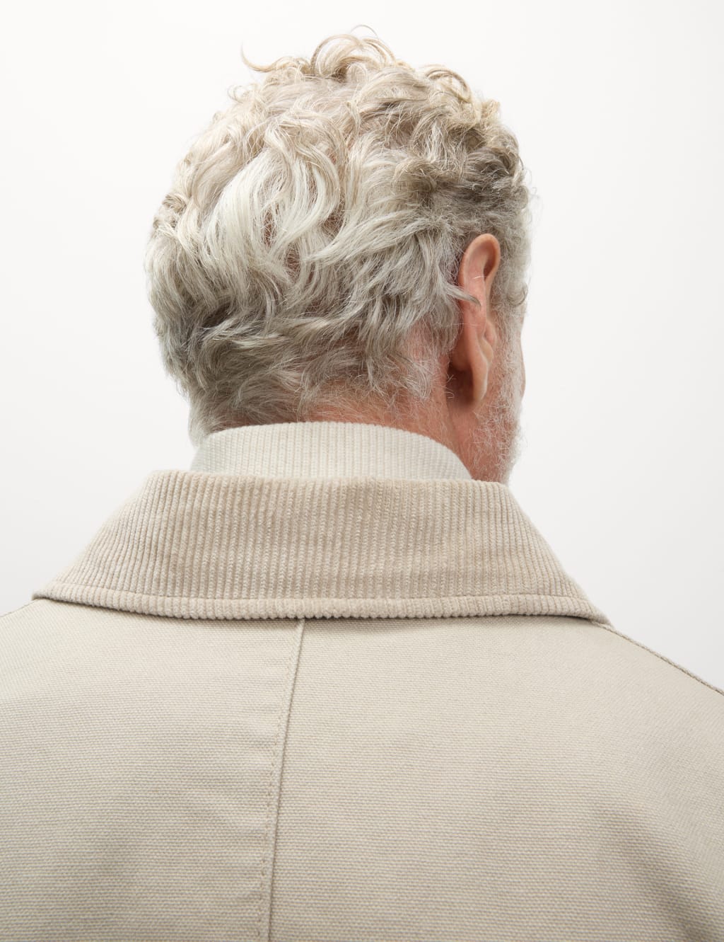 Cotton Rich Canvas Harrington Jacket 7 of 7