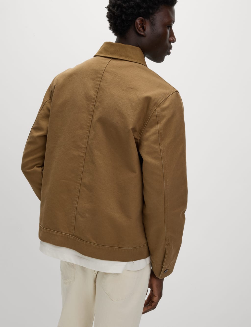 Cotton Rich Canvas Harrington Jacket 6 of 6