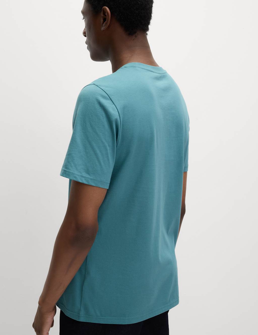Regular Fit Pure Cotton Crew Neck T-Shirt 6 of 6