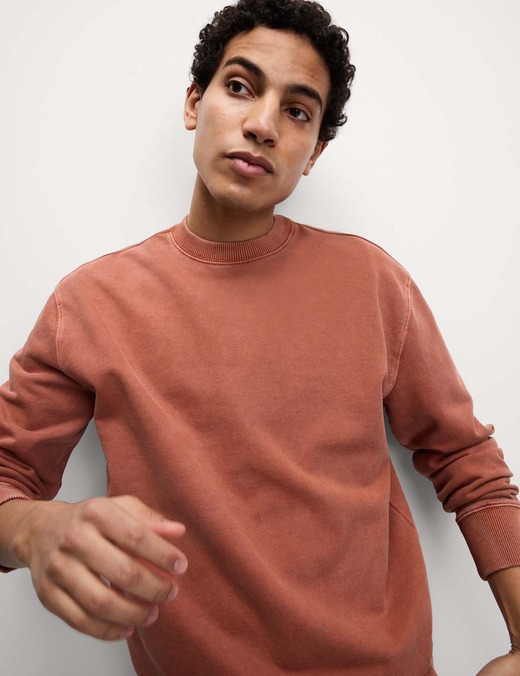 Pure Cotton Garment Dye Sweatshirt 4 of 5