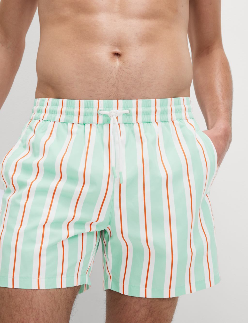 Quick Dry Deckchair Striped Swim Shorts 3 of 3
