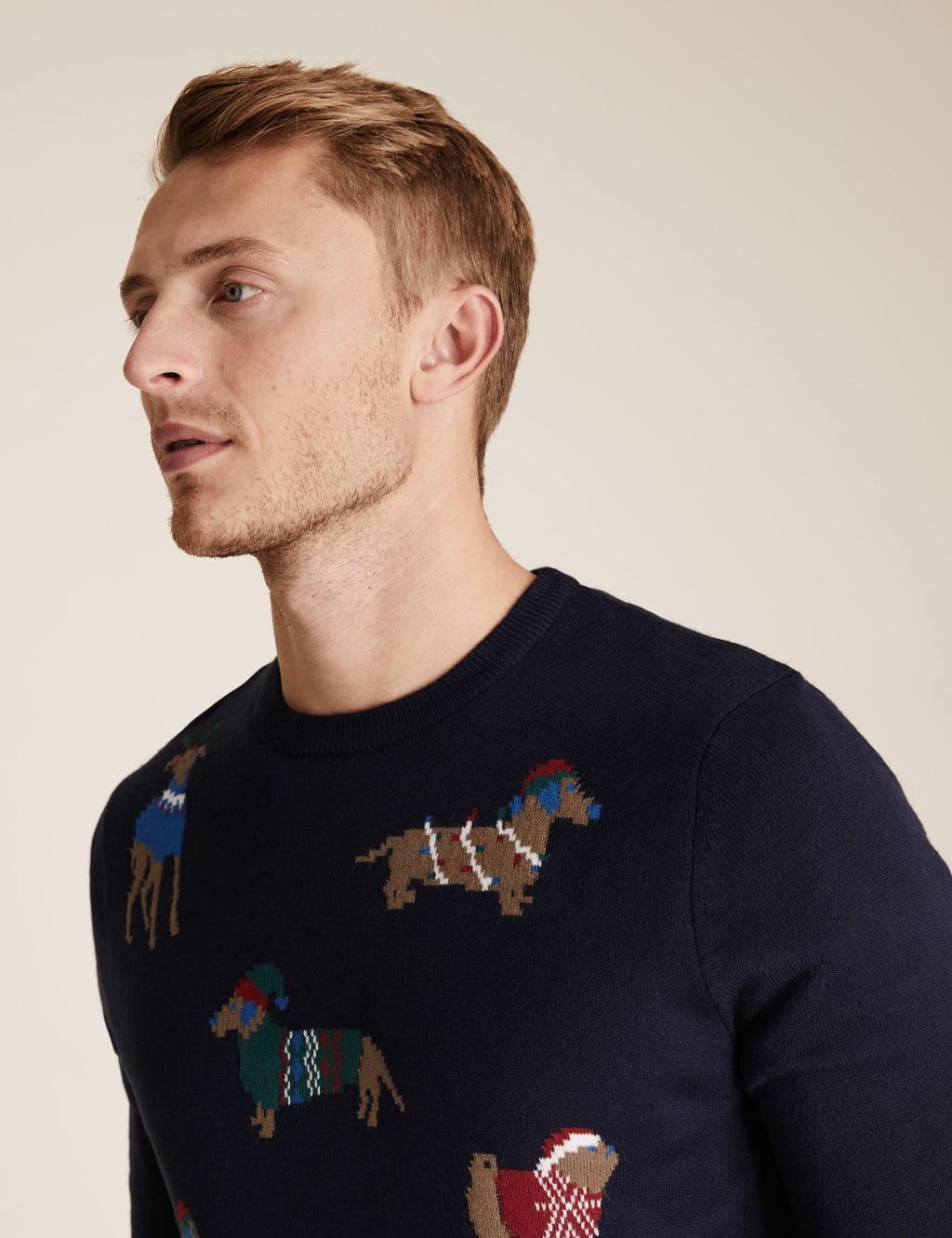 Dog Crew Neck Christmas Jumper 1 of 4