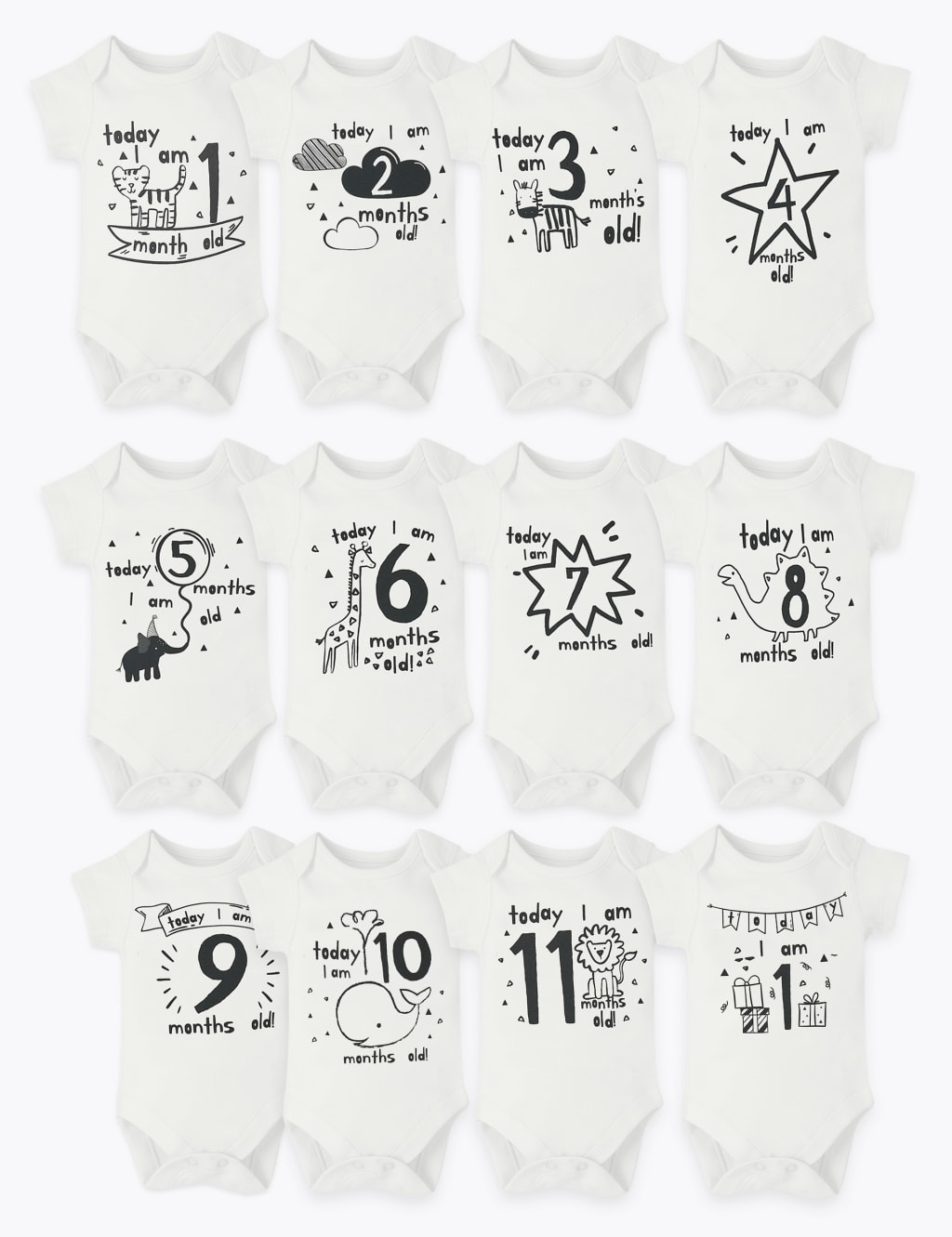 12 Pack Cotton Milestone Bodysuits M S