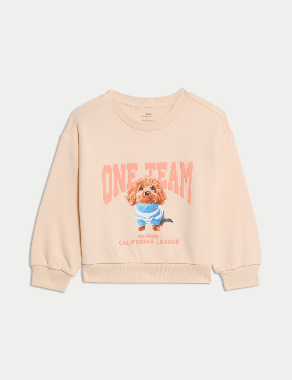 Cotton Rich Dog Graphic Sweatshirt (2-8 Yrs) 2 of 5