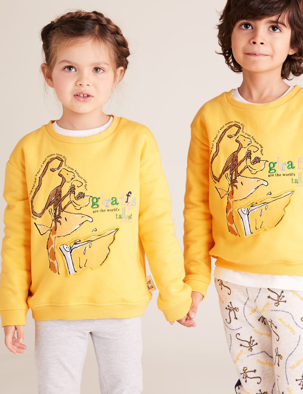 Roald Dahl NHM Giraffe Sweatshirt 2 7 Yrs M S