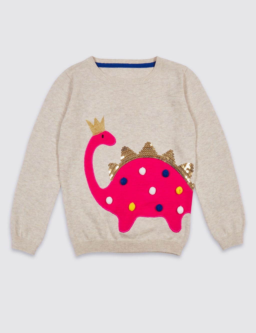 Ladies dinosaur jumper sale