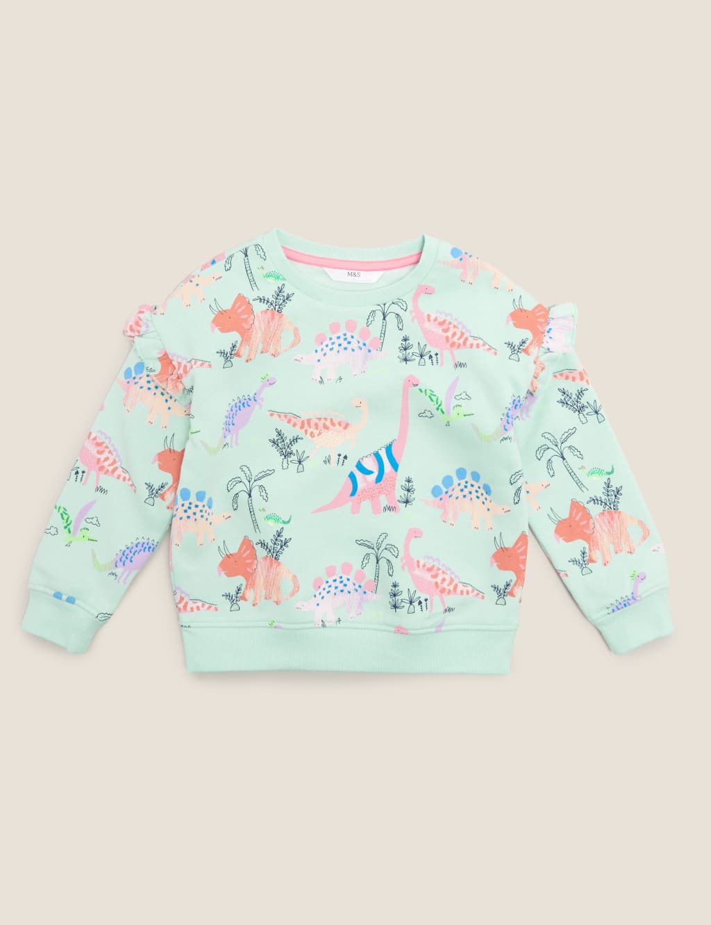 Cotton Dinosaur Print Sweatshirt (2-7 Yrs) 2 of 4