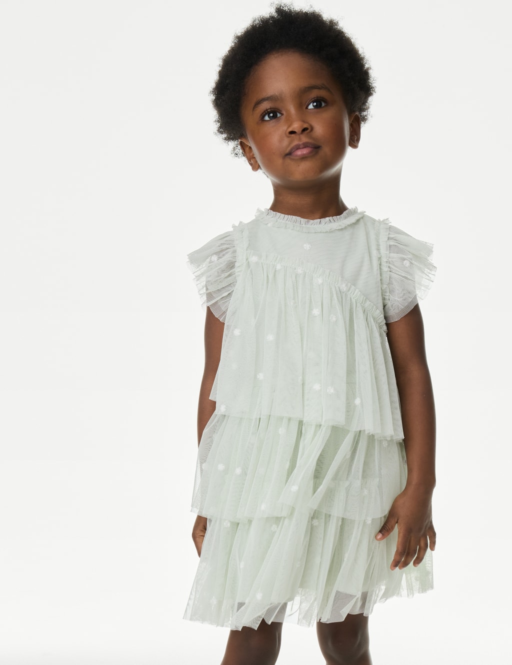Embroidered Tulle Dress (2-16 Yrs) 3 of 5