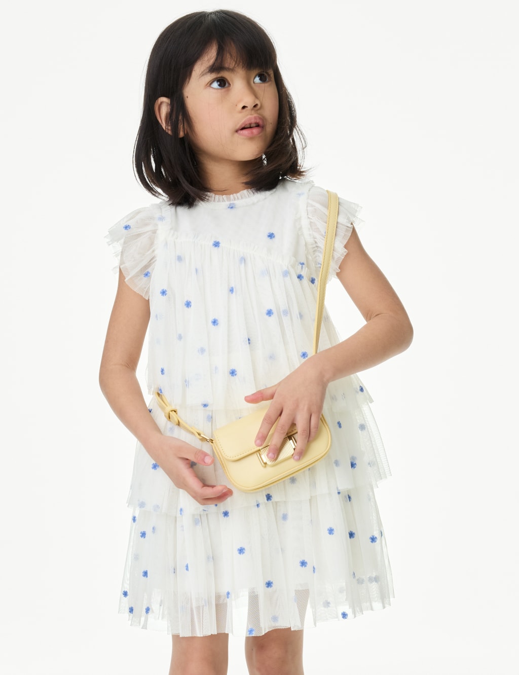 Embroidered Tulle Dress (2-16 Yrs) 1 of 5