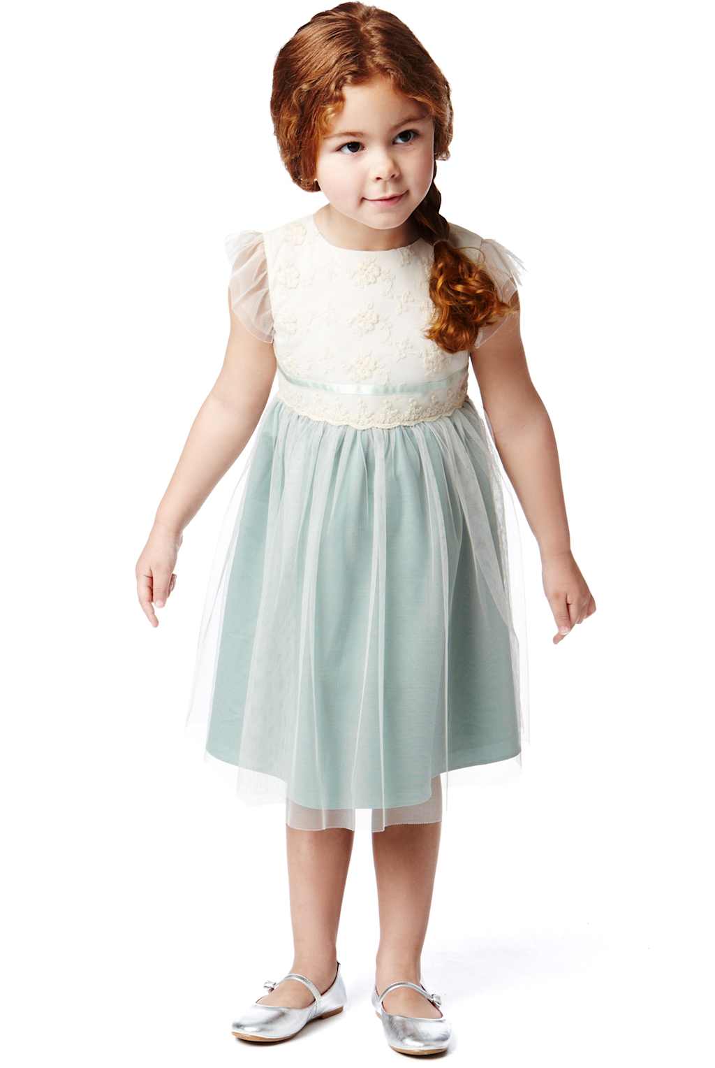 Floral Embroidered Mesh Dress 1 of 1