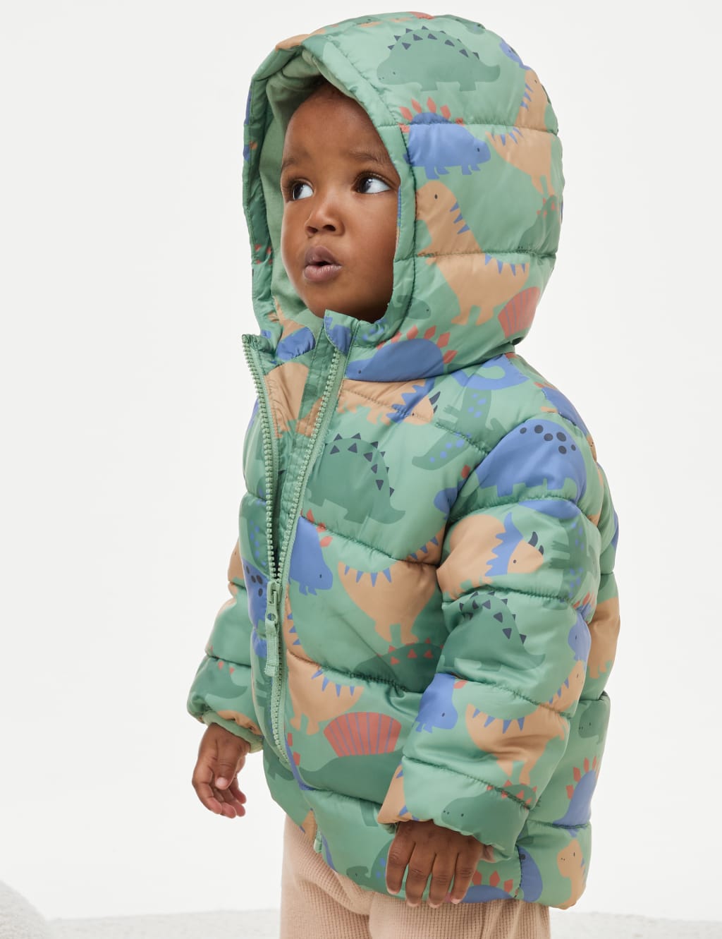 Dinosaur jacket for adults clearance