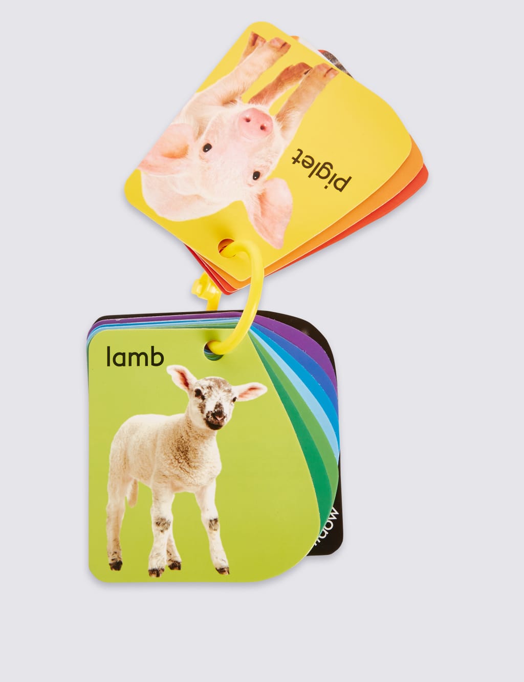 Buggy Animals Book 3 of 3