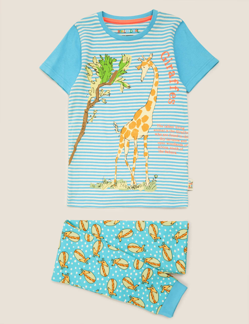 Roald Dahl™ & NHM™ Giraffe Pyjama Set (1-10 Yrs) 2 of 7