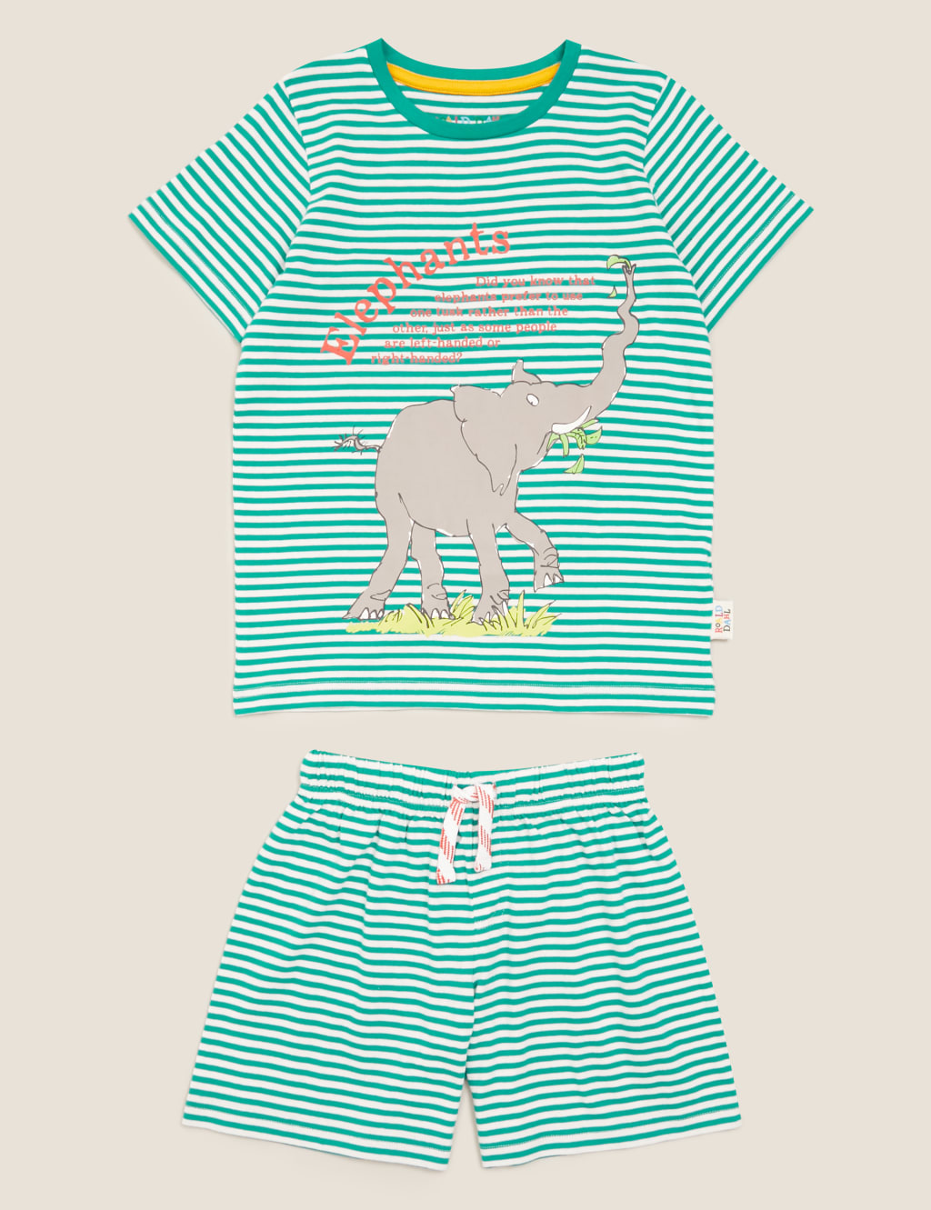 Roald Dahl™ & NHM™ Short Pyjama Set (1-10 Yrs) 2 of 6