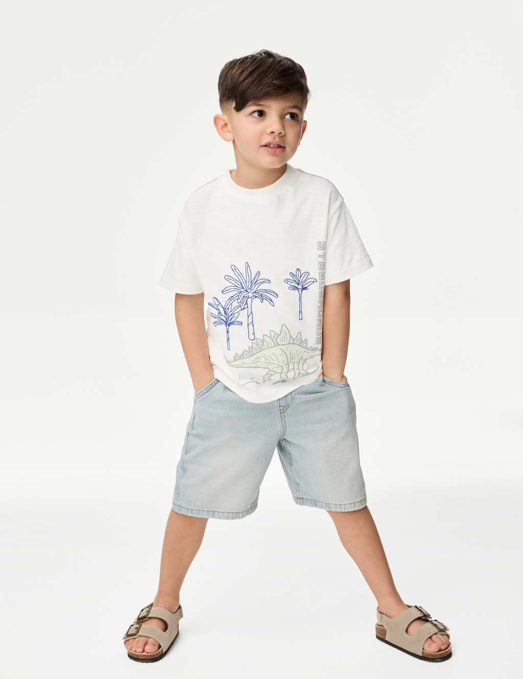 Pure Cotton Dinosaur Scene T-Shirt (2-8 Yrs) 3 of 5