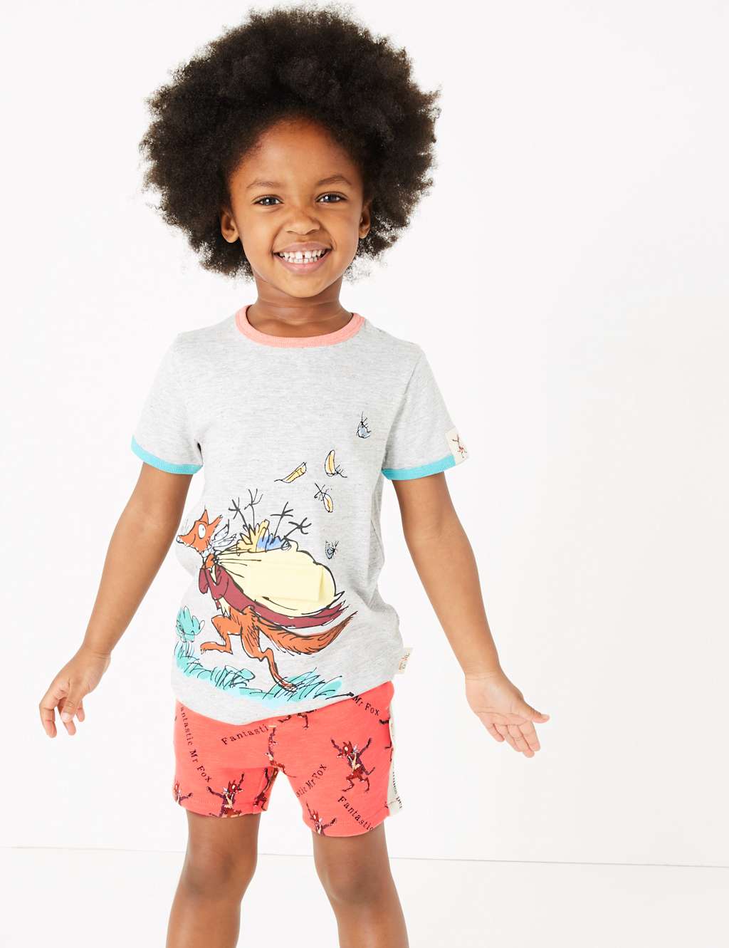 Roald Dahl™ & NHM™ Fox Shorts (2-7 Yrs) 4 of 7
