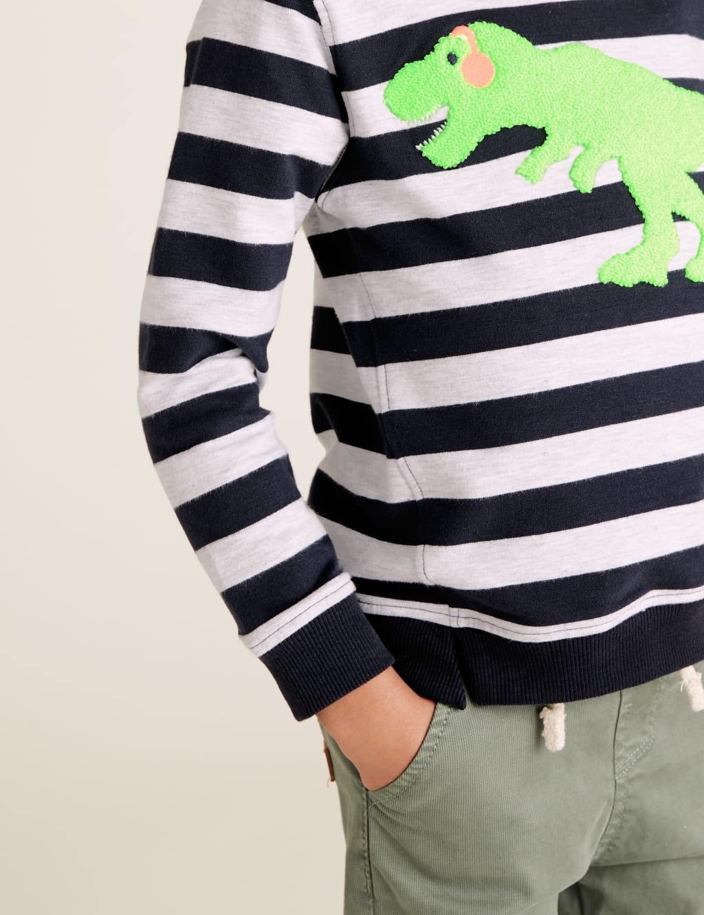 Cotton Stripe Dinosaur Sweatshirt (2-7 Yrs) 3 of 5