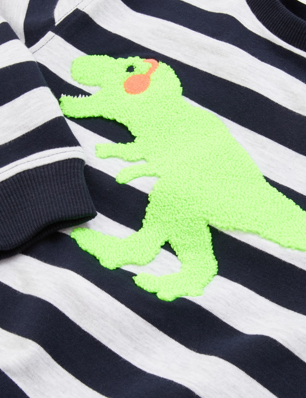 Cotton Stripe Dinosaur Sweatshirt (2-7 Yrs) 5 of 5