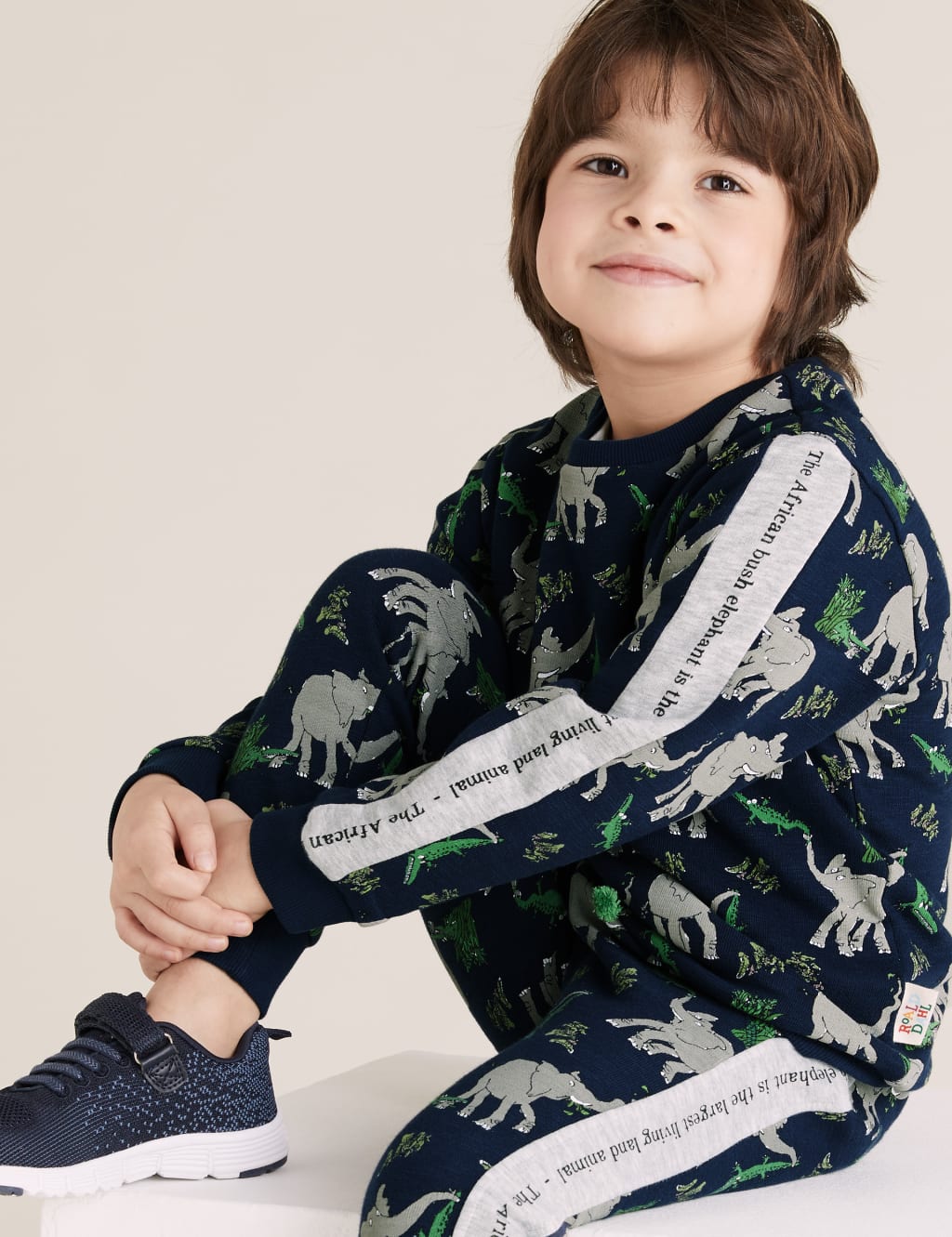 Roald Dahl™ & NHM™ Elephant Sweatshirt (2-7 Yrs) 3 of 6