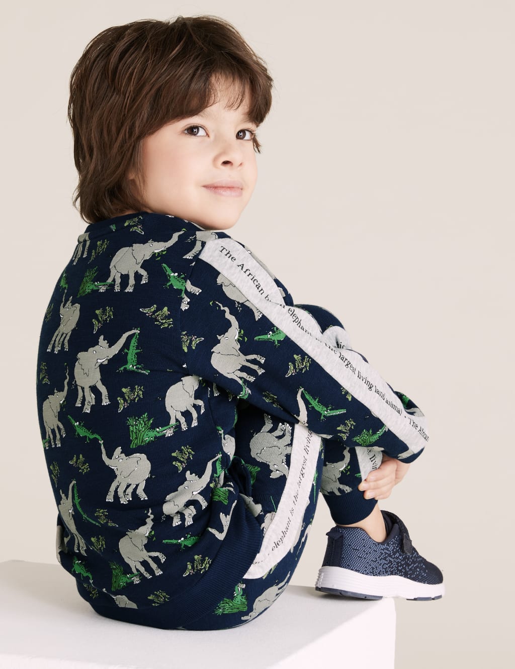 Roald Dahl™ & NHM™ Elephant Sweatshirt (2-7 Yrs) 5 of 6