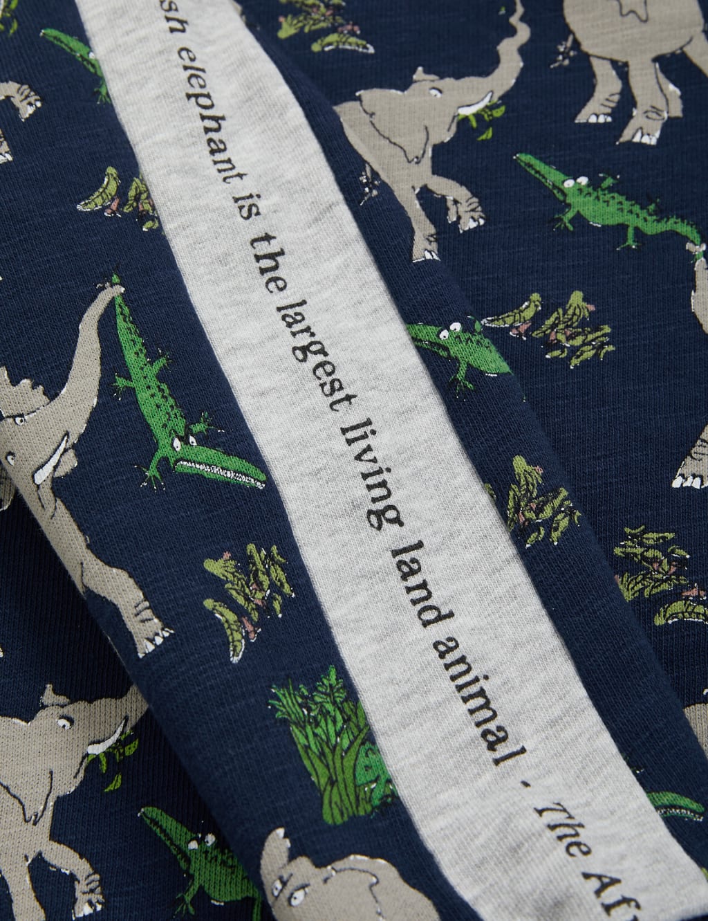 Roald Dahl™ & NHM™ Elephant Sweatshirt (2-7 Yrs) 6 of 6