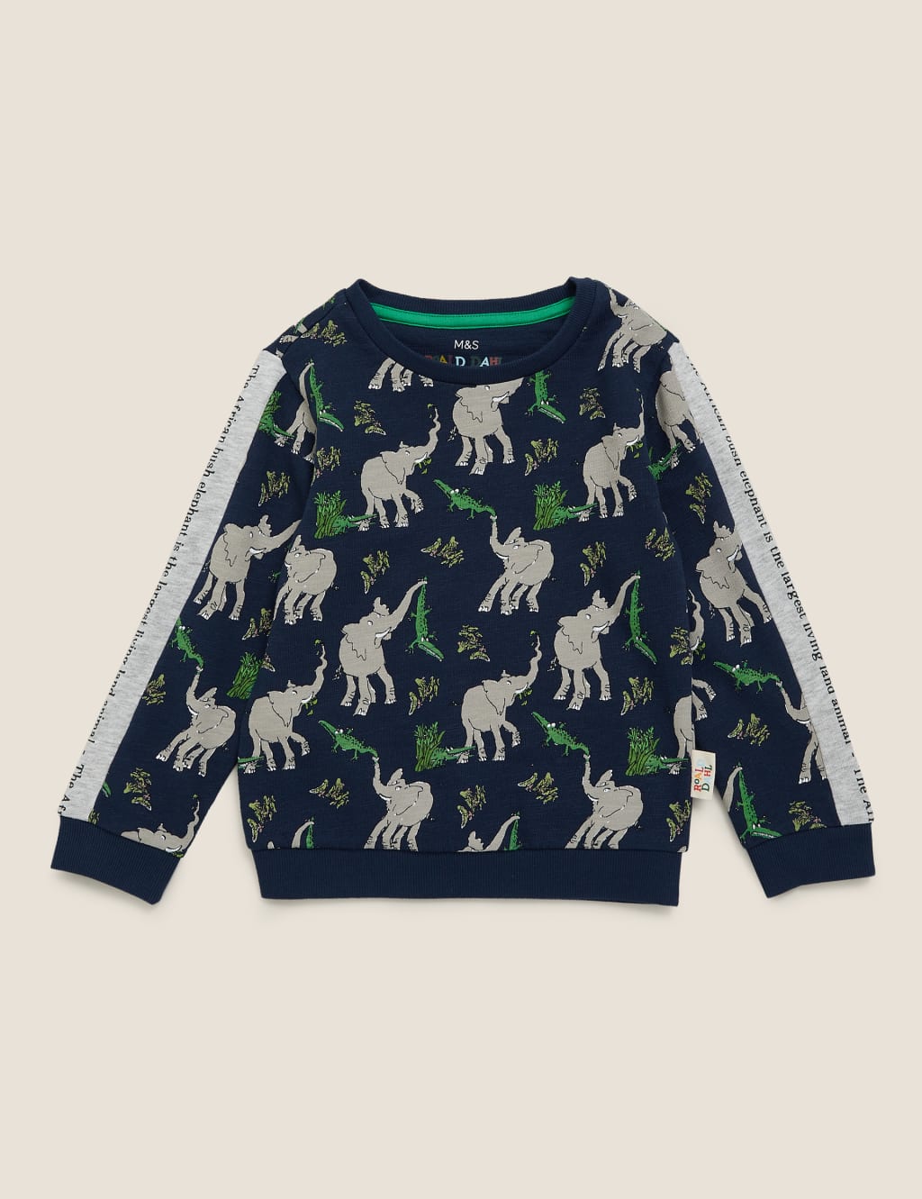 Roald Dahl™ & NHM™ Elephant Sweatshirt (2-7 Yrs) 2 of 6