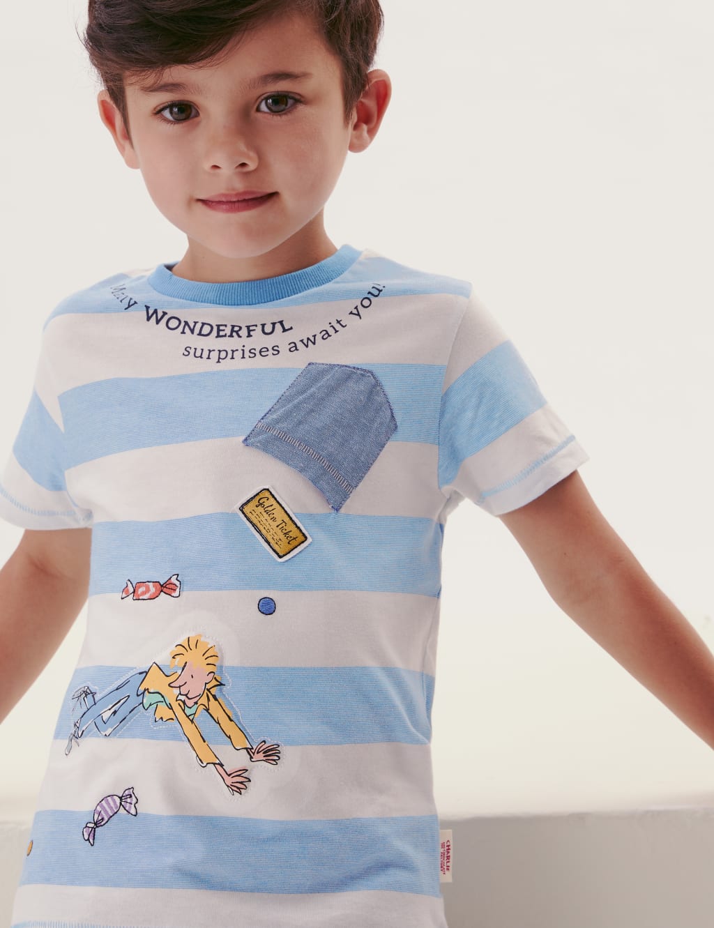 Roald Dahl™ Pure Cotton T-Shirt (2-7 yrs) 5 of 7