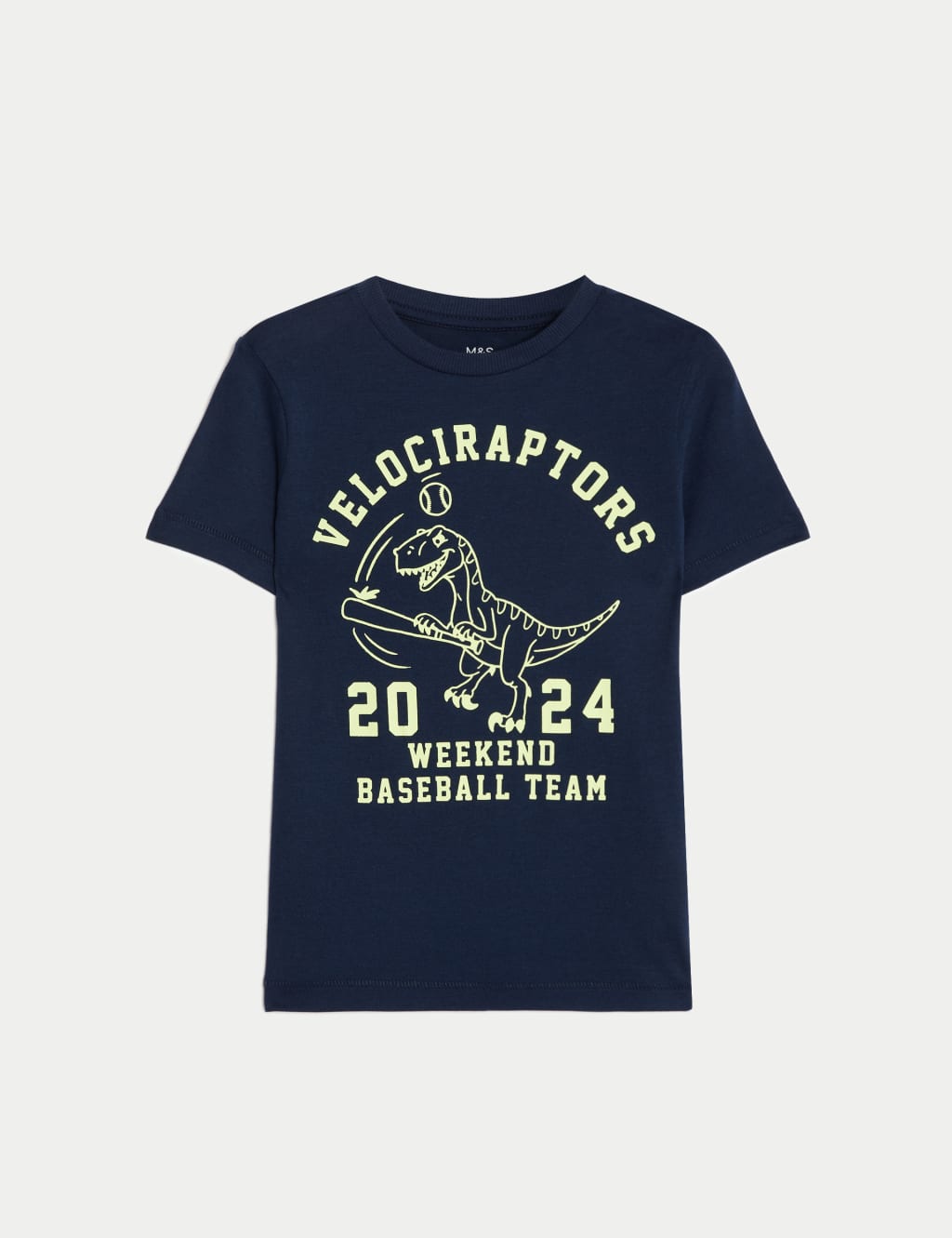 Pure Cotton Dinosaur T-Shirt (2-8 Yrs) 2 of 4