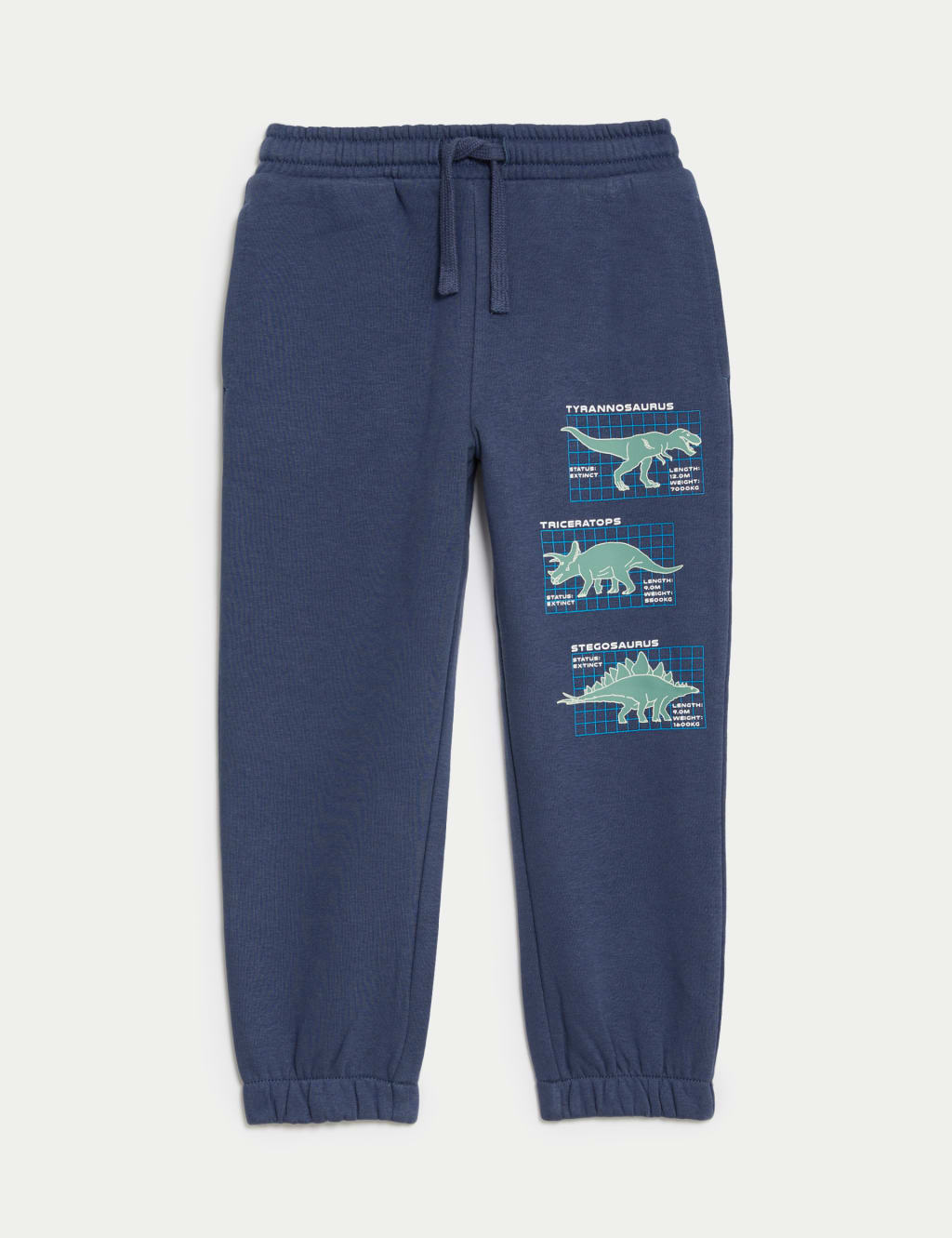Dinosaur joggers on sale