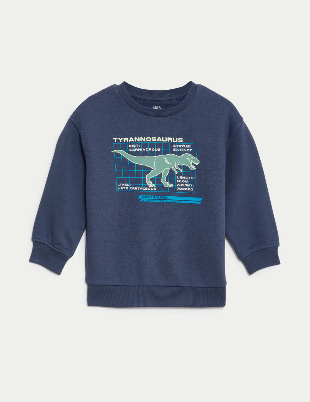 Cotton Rich Dinosaur Sweatshirt 2 8 Yrs M S Collection M S