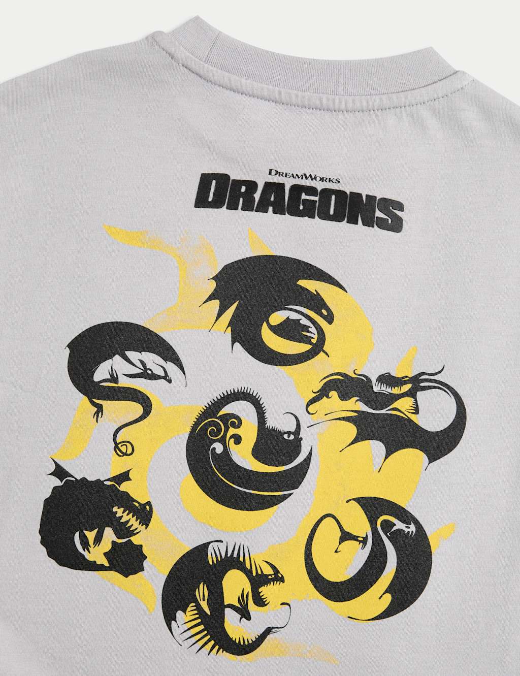 How To Train Your Dragon T-Shirt (2-8 Yrs) 2 of 3
