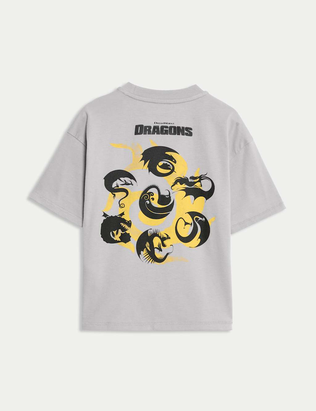 How To Train Your Dragon T-Shirt (2-8 Yrs) 3 of 3