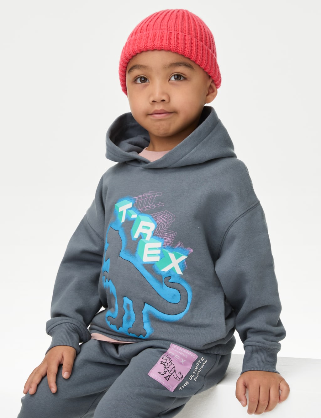 Cotton Rich Dinosaur Hoodie 2 8 Yrs